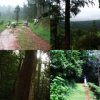 8-WalkInTheTeaCountry_1