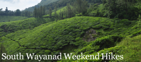 South Wayanad Weekend Hikes