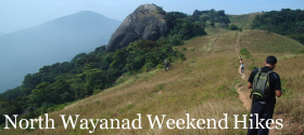 North Wayanad Weekend Hikes
