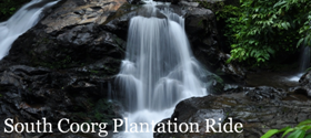 South Coorg Plantation Ride