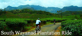 South Wayanad Plantation Ride