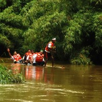 Out of the green canyon