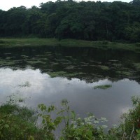 Pond of the forest queen