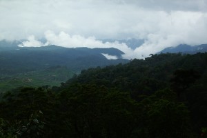 VSC12