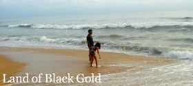 The Land Of Black Gold