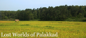 The Lost Worlds of Palakkad