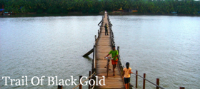 Trail Of Black Gold